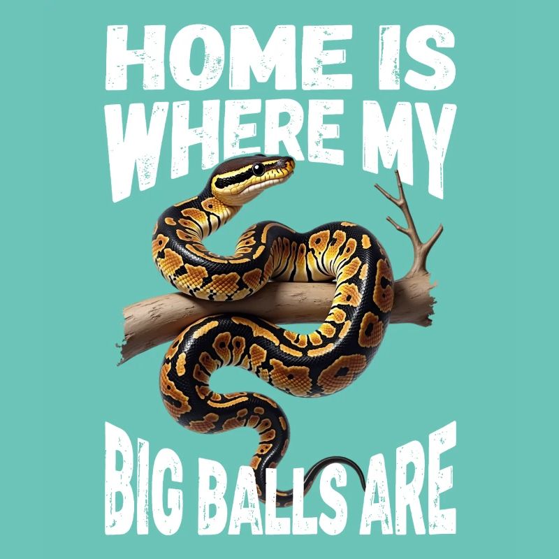 Königspython Schlangen Liebhaber Terrarium Python