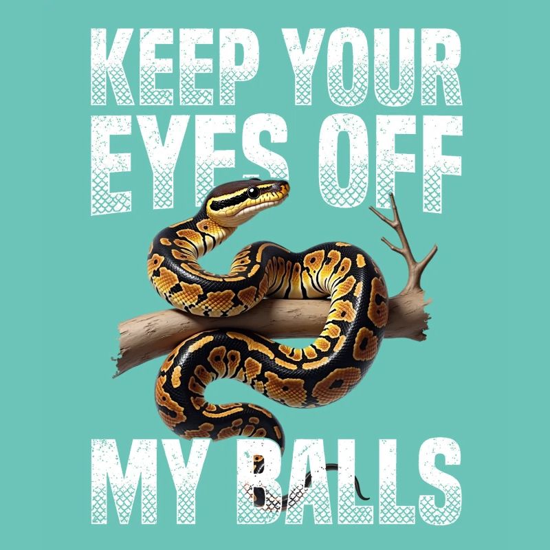 Python roi Serpents Amateurs de terrarium Python