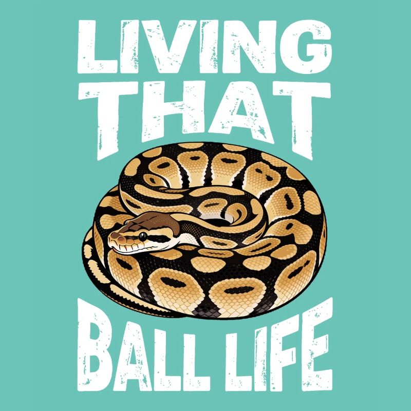 Python roi Serpents Amateurs de terrarium Python