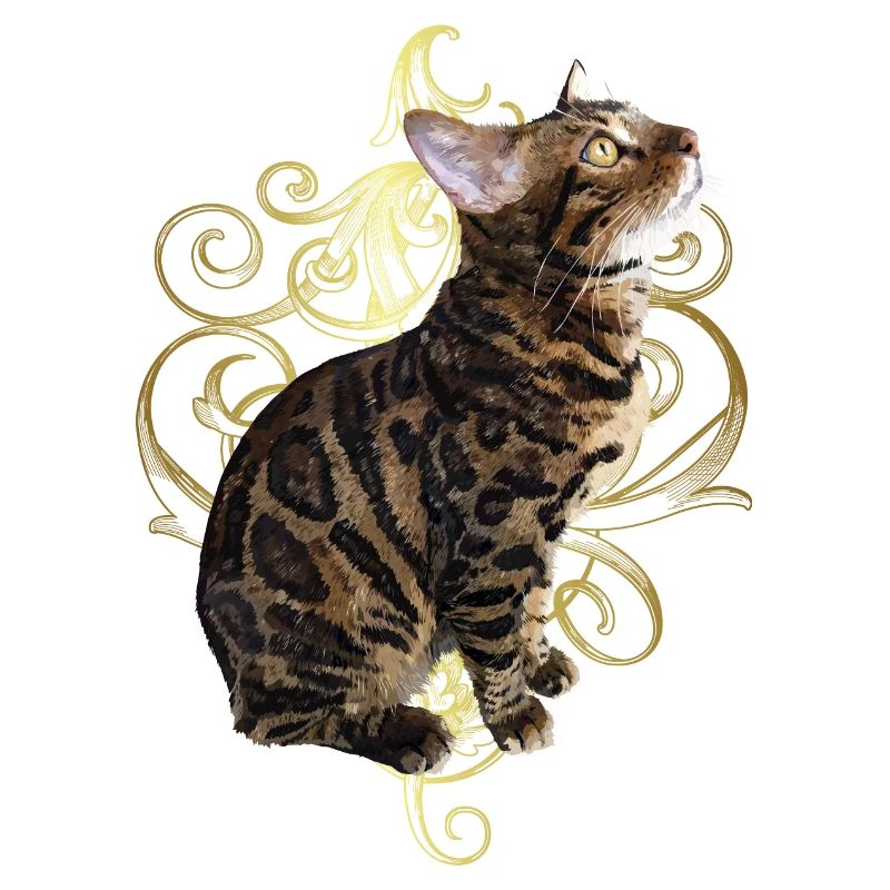 Chat du Bengale