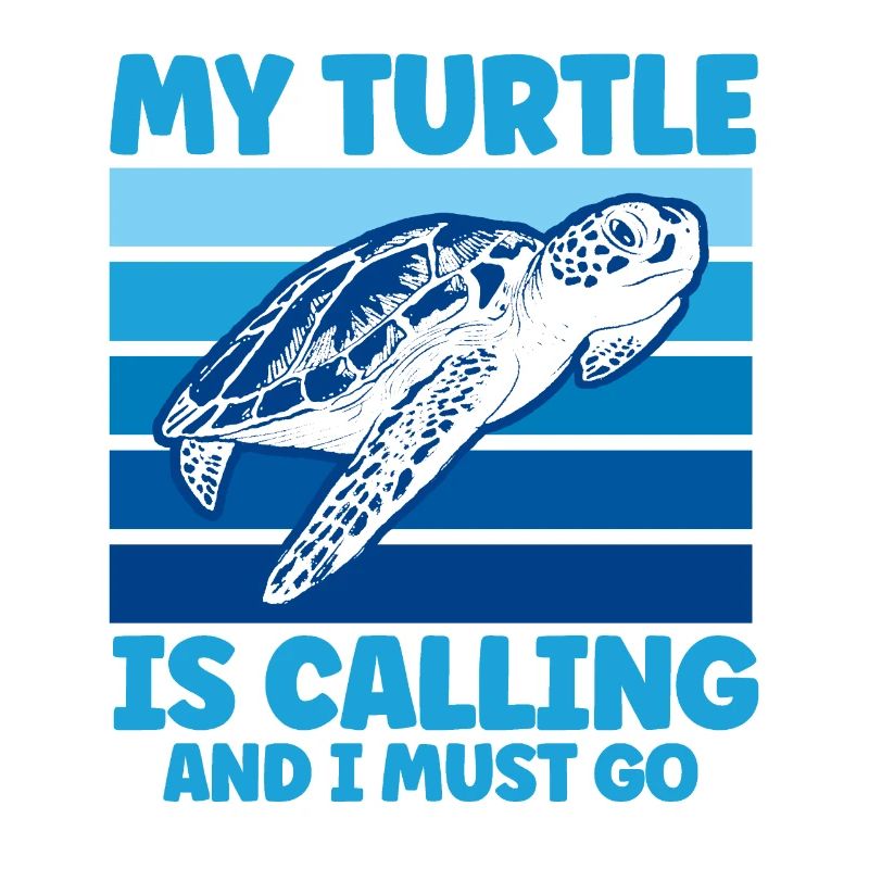 Turtle Keeping Sea Turtle Turtles