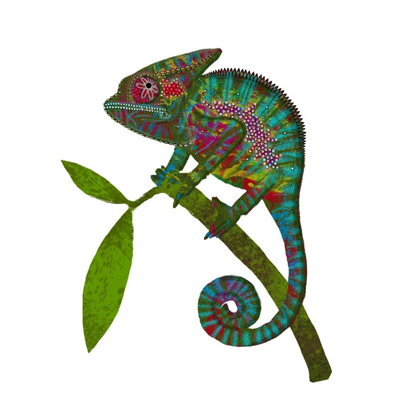 Chameleon