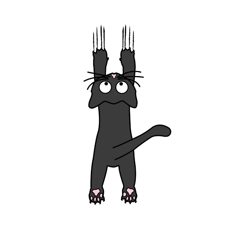 Mignon, chat noir, tient