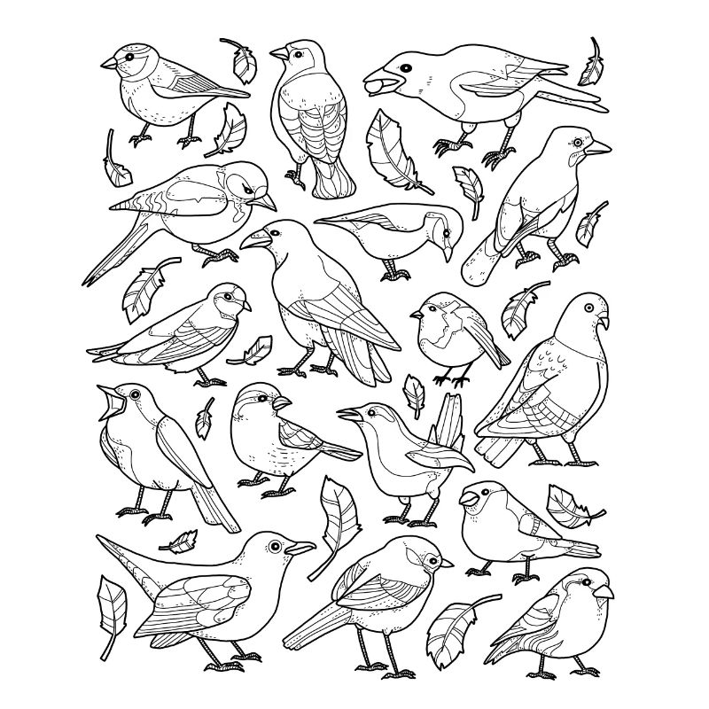 Oiseaux, différents types d'oiseaux, oiseaux de jardin