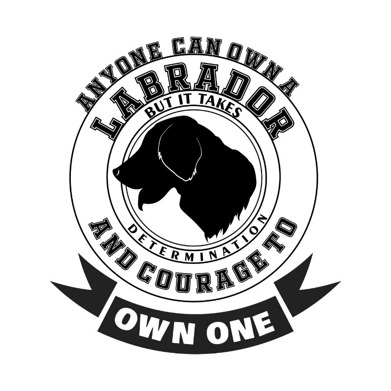 Labrador