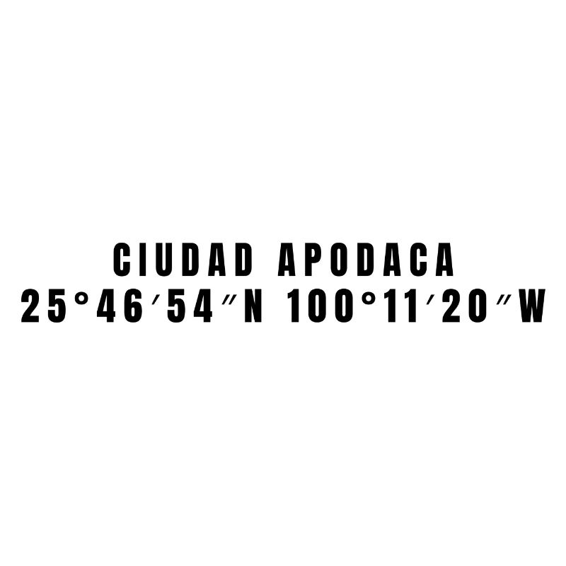 Ciudad Apodaca, Mexique Coordonnées