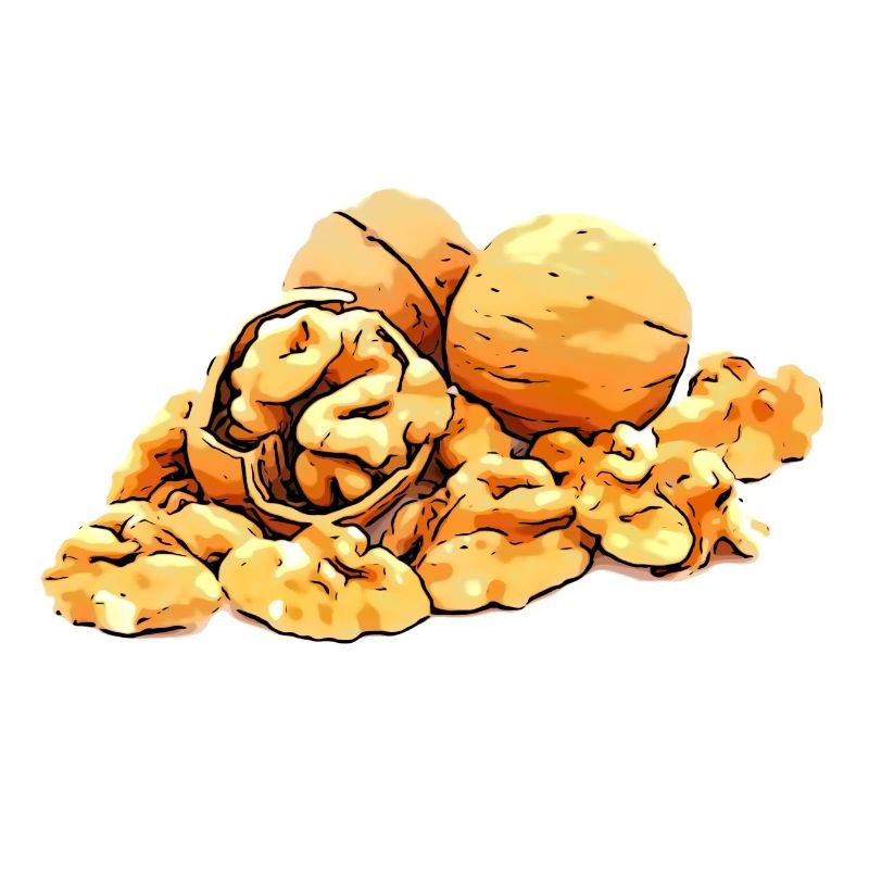 Walnuts walnut image graphic symbol