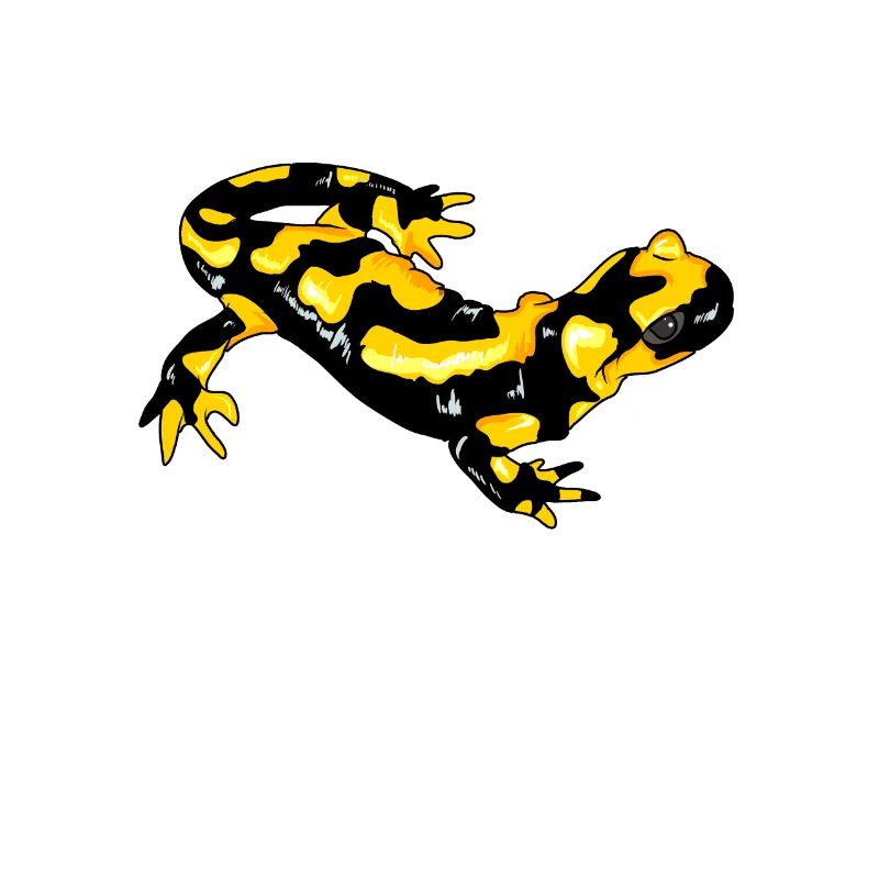 Feuersalamander Echte Salamander Feuermolch Lurch