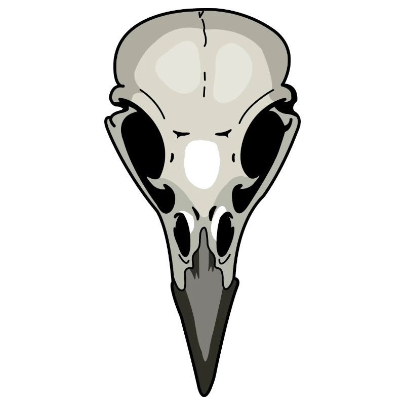 crow skeleton raven