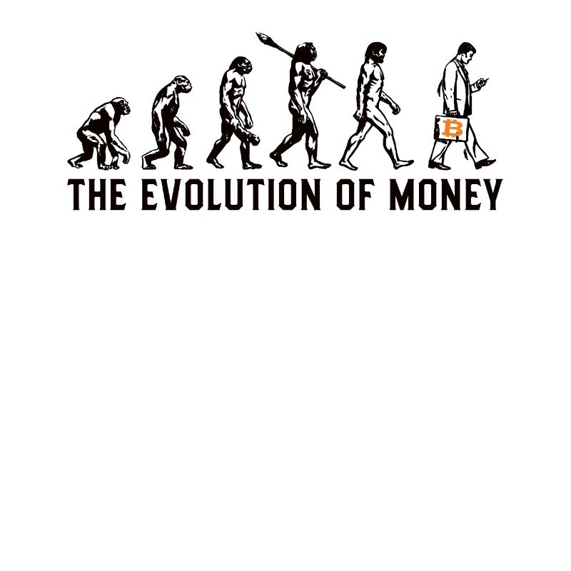 Bitcoin Plan B BTC Satoshi Krypto Hodl Maximalist