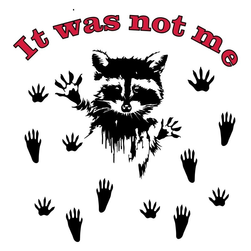 Racoon/Waschbär
