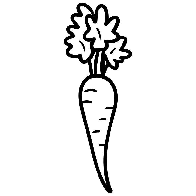 carrot