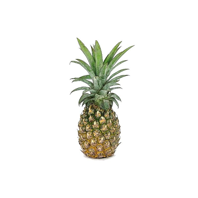 Pineapple | Pineapple