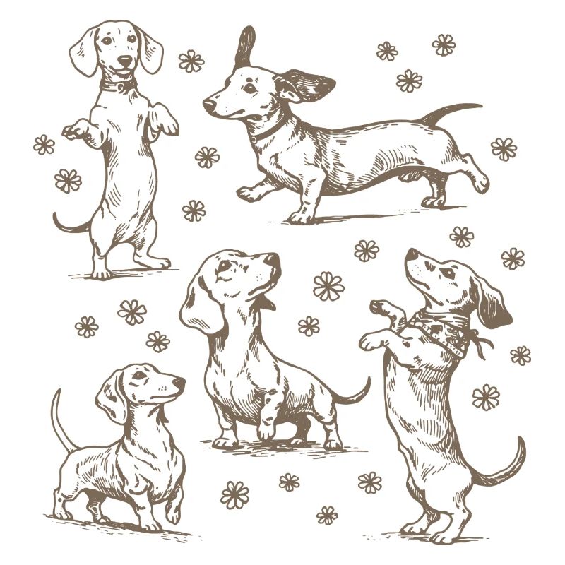 Teckel Teckel Chiens Teckels Teckel Chien teckel Teckel