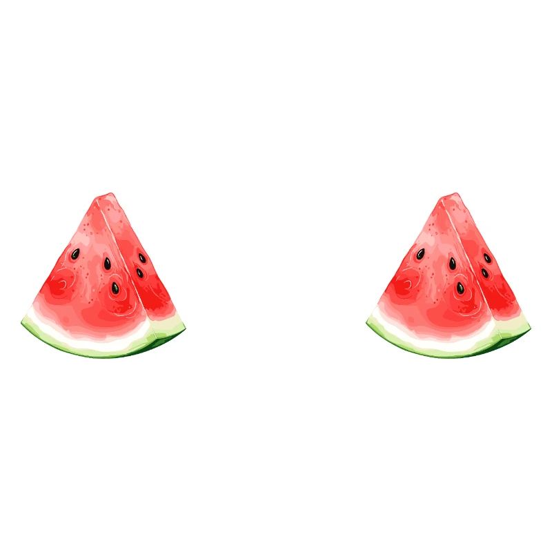 Pastèque pastèque 