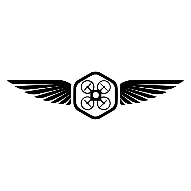UAV PILOT