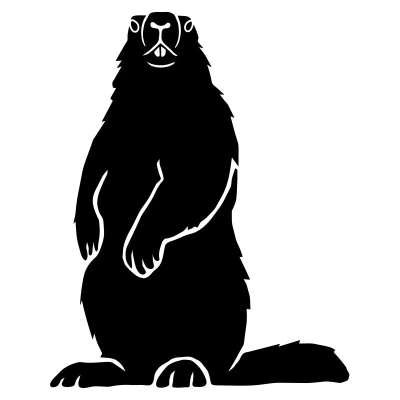 Murmeltier Alpen Alps Berge Groundhog Erdhörnchen