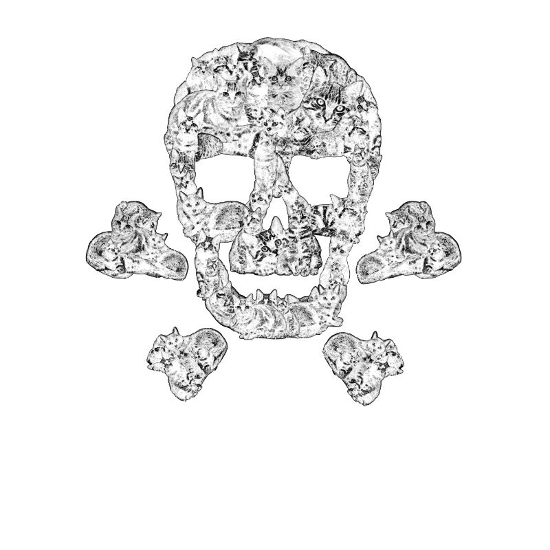 Funny Cat Skull Crossbone Kitty Kitten Pirate Gift