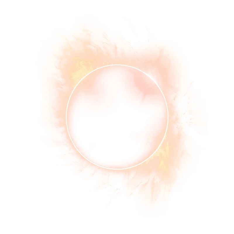 SOLAR ECLIPSE ASTRONOMY LOVERS
