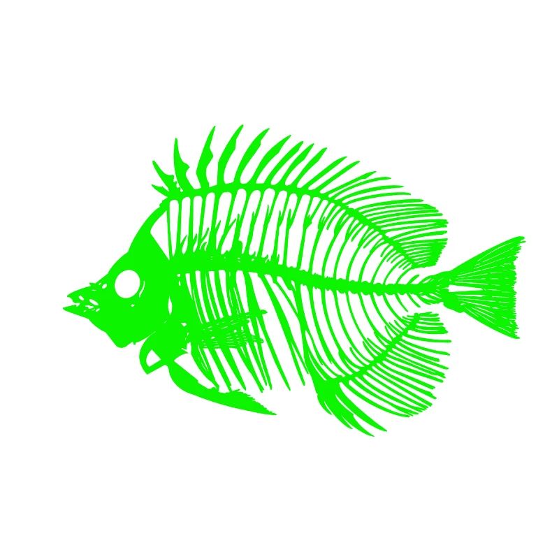 Glowing Fish Skeleton Design