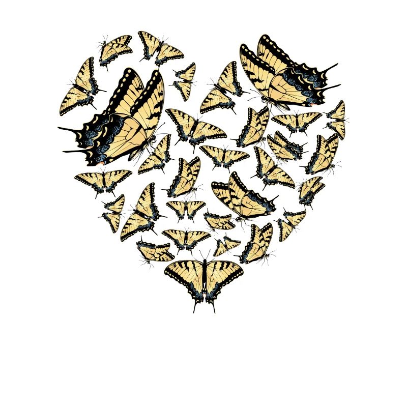 Tiger Swallowtails Sind Eine Mädchen Beste