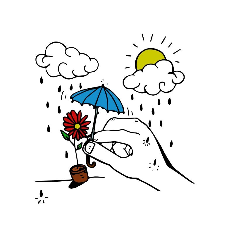 Rain