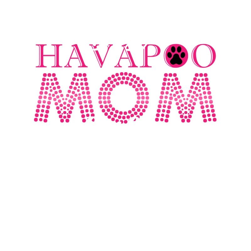 havapoo, havapoo havapoo himmel, Pudel Mischling,