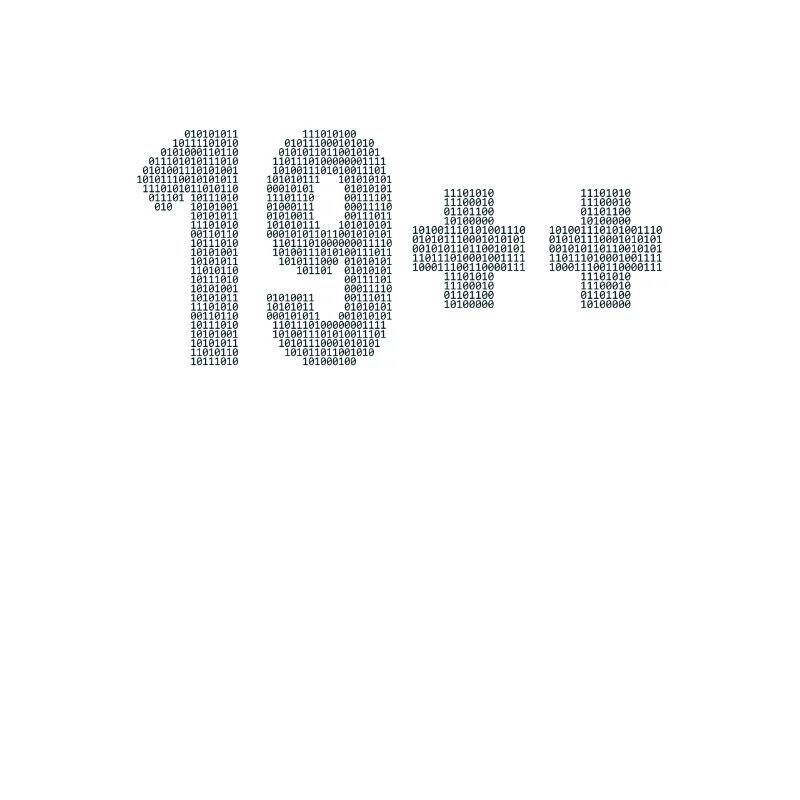 19++ Software Developer Full Stack Coder 20th