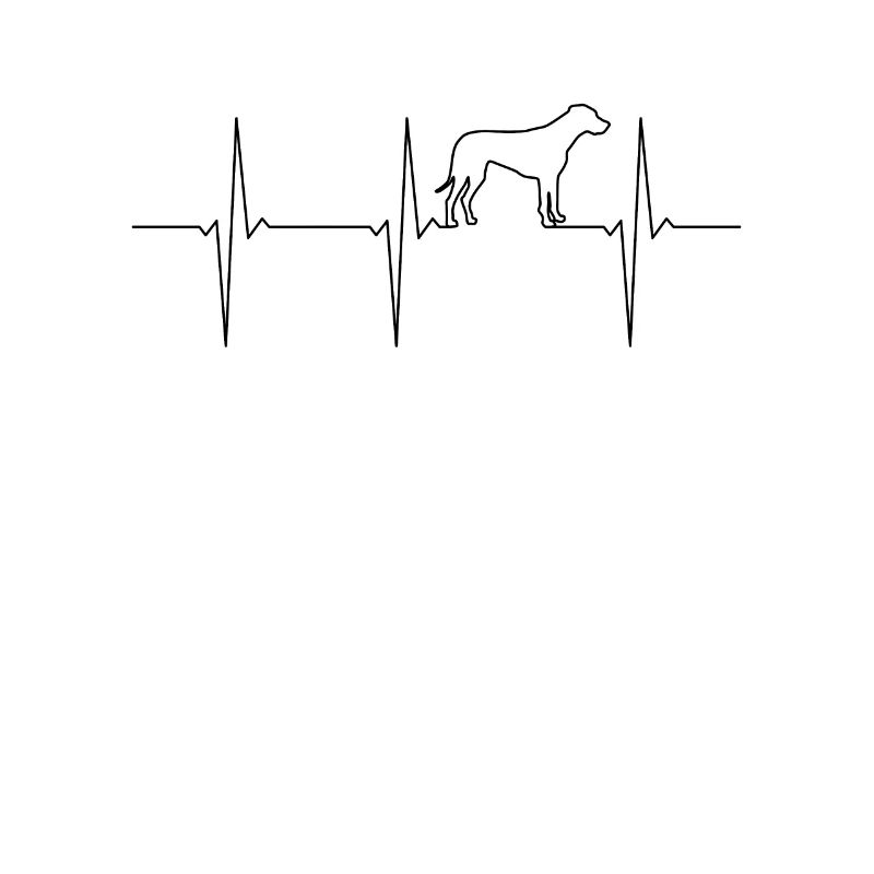 Rhodesian Ridgeback EKG Herzschlag