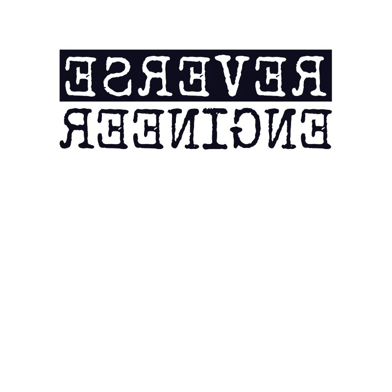 Reverse Engineer Softwareingenieur Developer