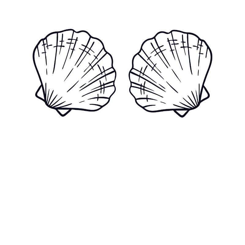 Seashell Bra BH Shell Shelling Bag Seashell