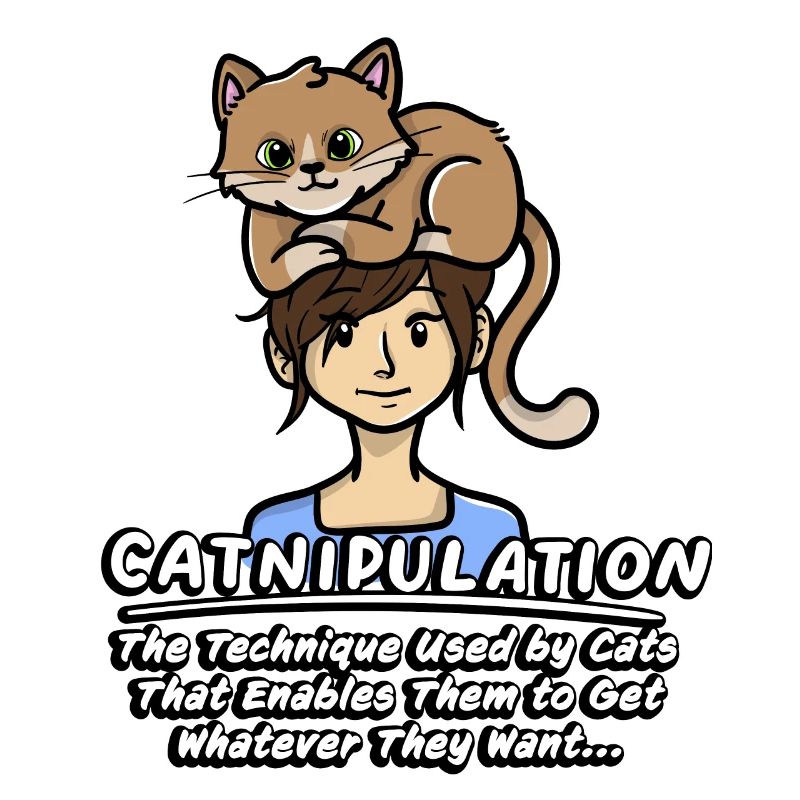 Technique De Catnipulation De Chaton Amant Chat Mignon