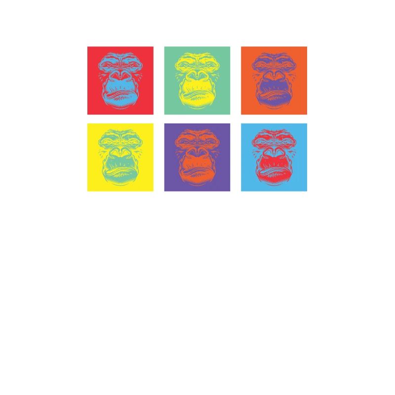 Singe Coloré 2