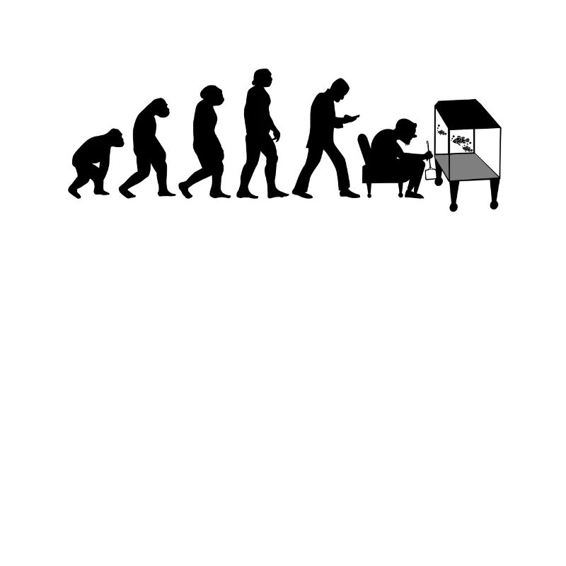 Aquarium Fish Aquariums Evolution Aquarium