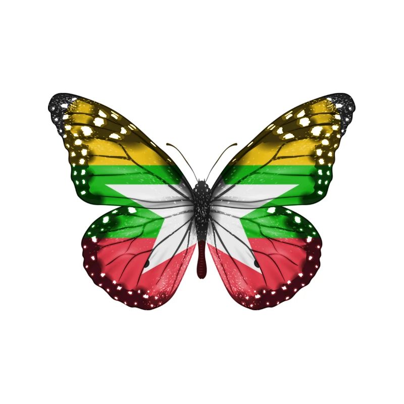Papillon Drapeau De Myanmar