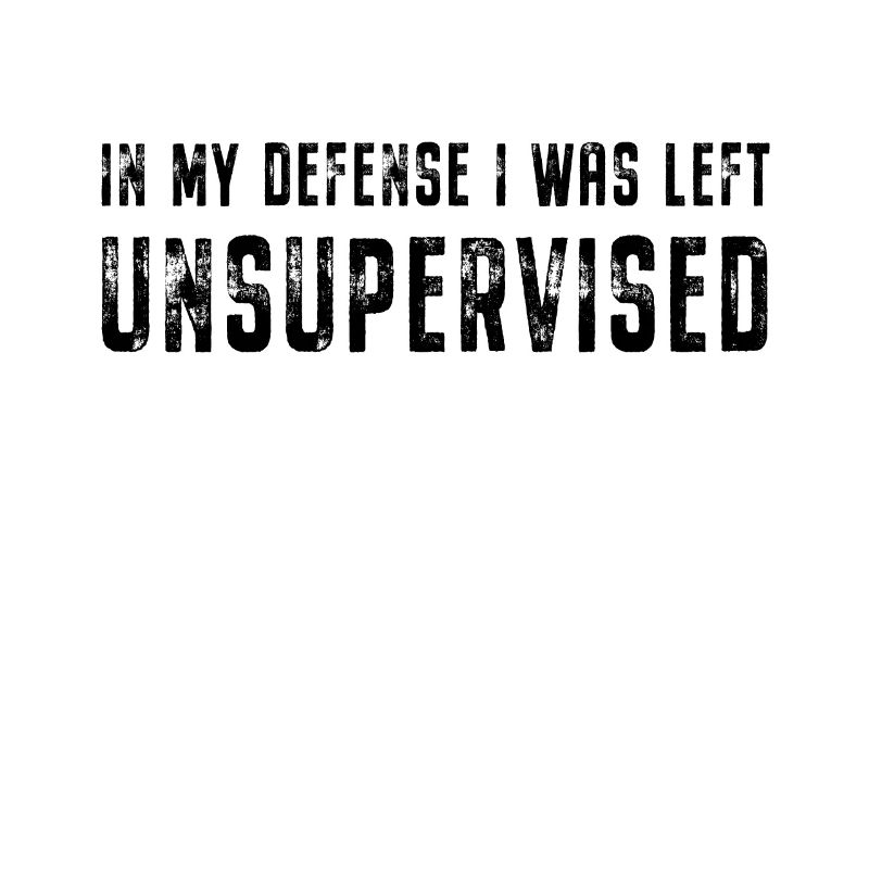 Dans My Defense I Was Left Unsupervised Spruch