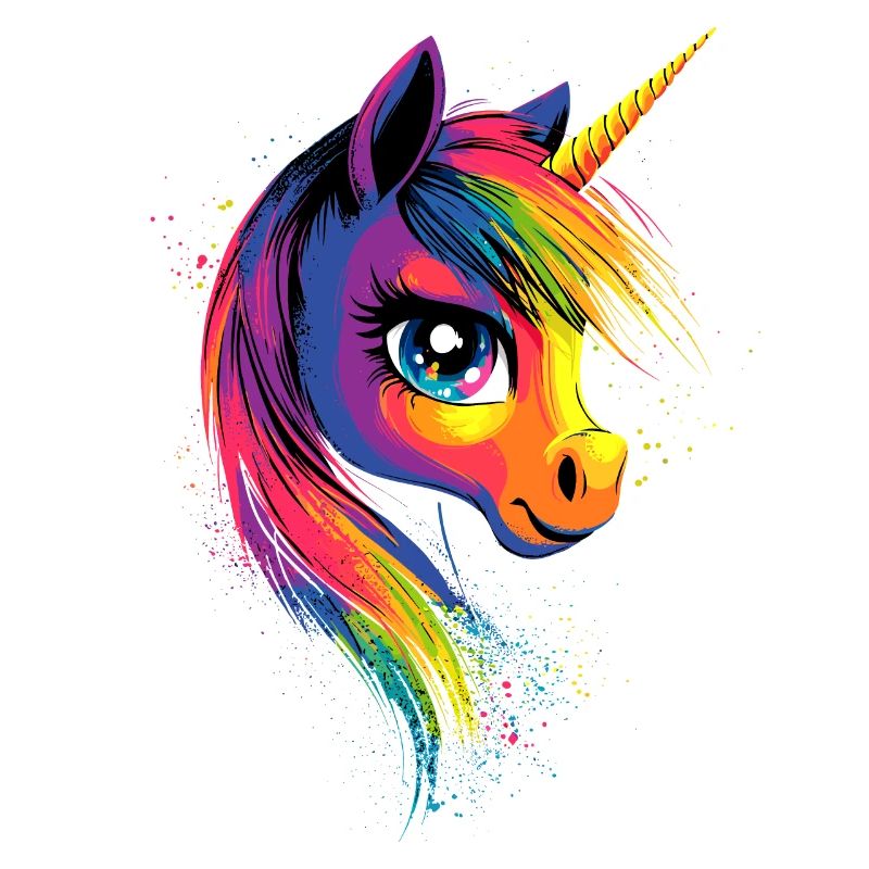 Einhorn Bunt Regenbogen Pferde Reiten Einhörner
