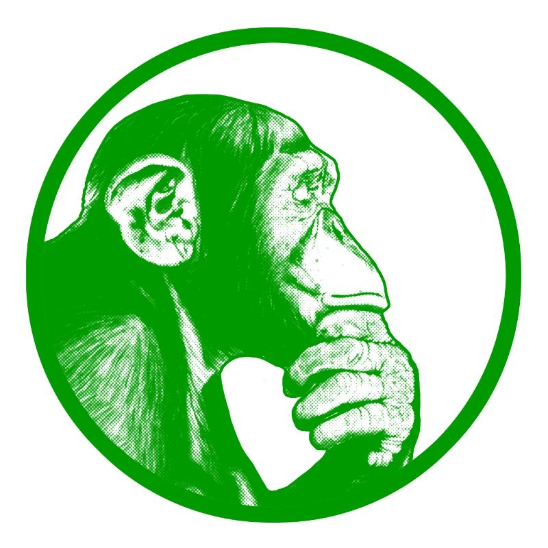 Think after monkey chimpanzee