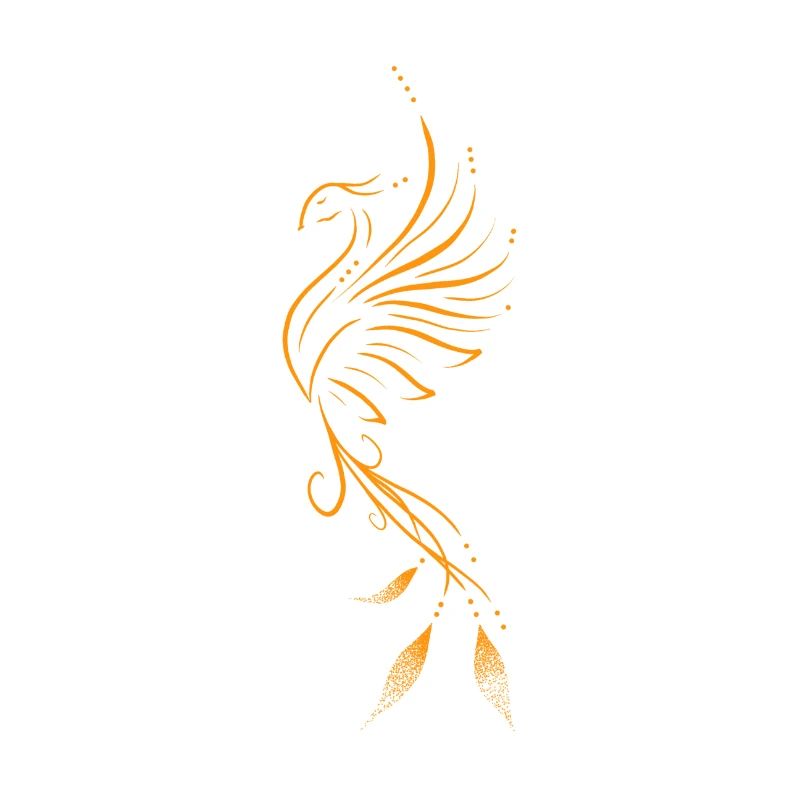 Phoenix lining orange
