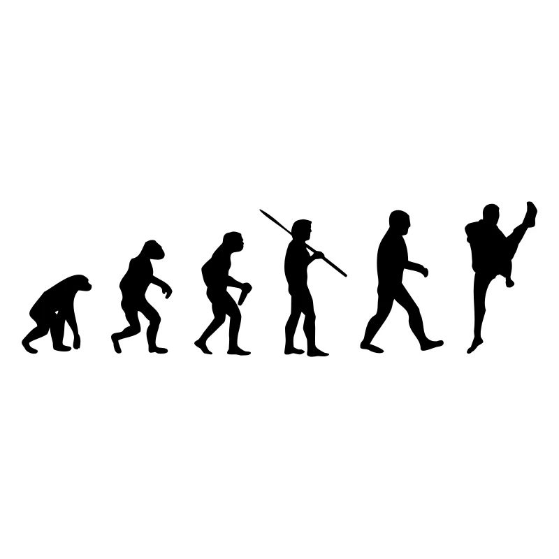 Martial Arts Evolution