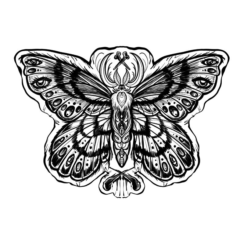 Magic Moth