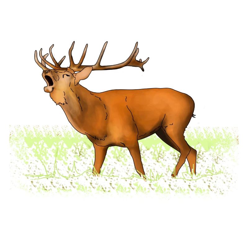 Roaring deer