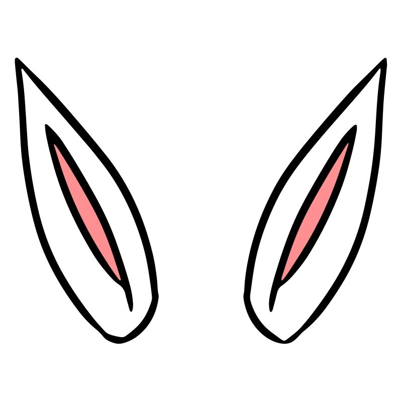 ears gift idea rabbit ears