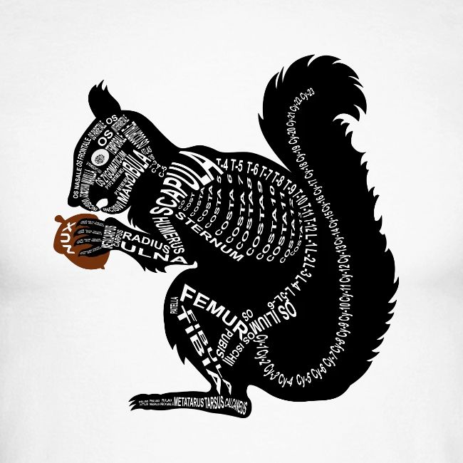 Eichhörnchen