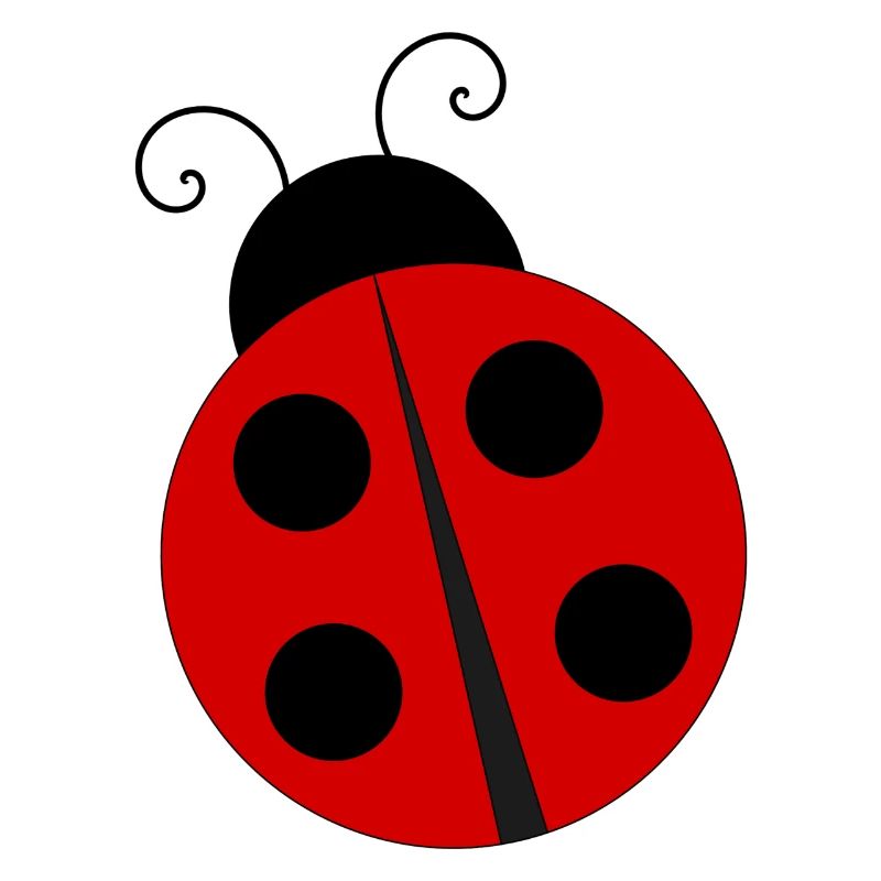 Ladybug with four black dots