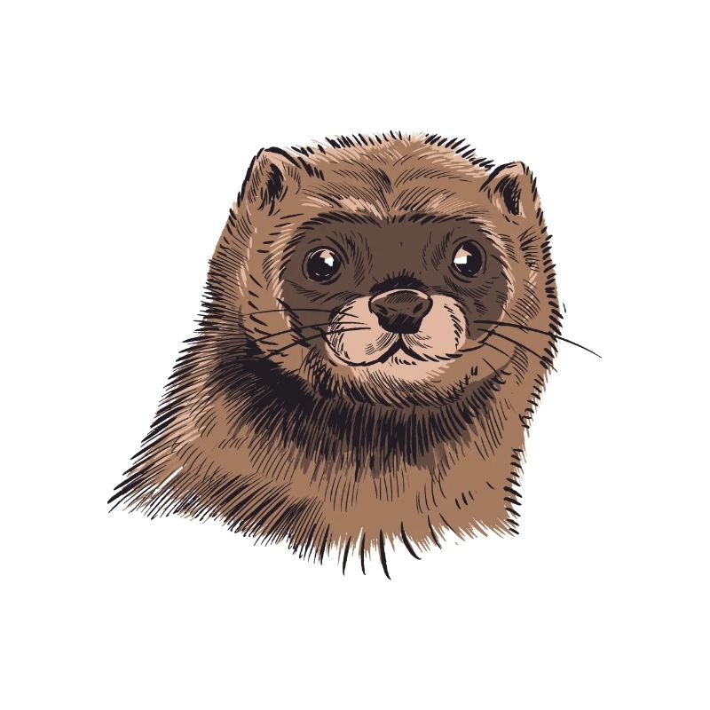 Tête de vison mignon vison dessin mignon