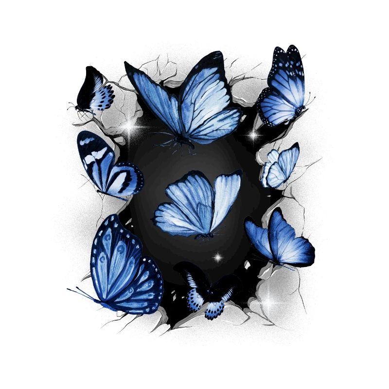Papillons Papillon Insecte Insectes