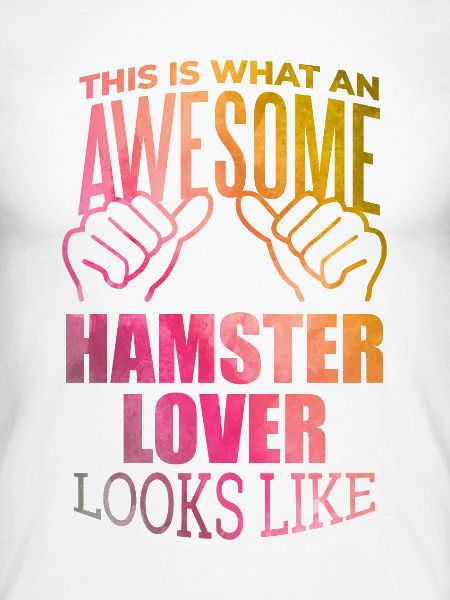 Hamster-Hamster-Hamster