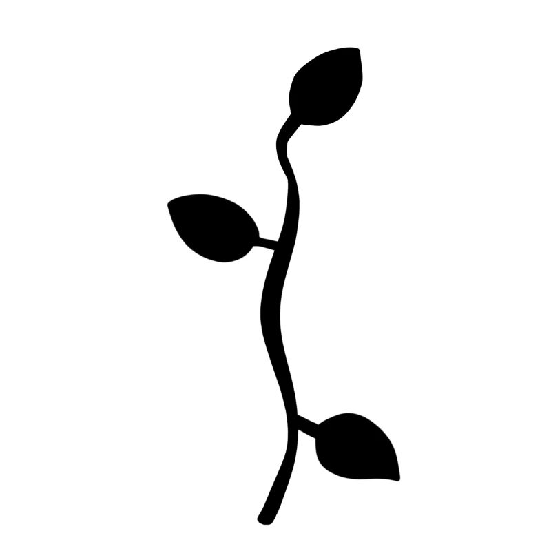 Leaf Leaves Line Nature Branch
