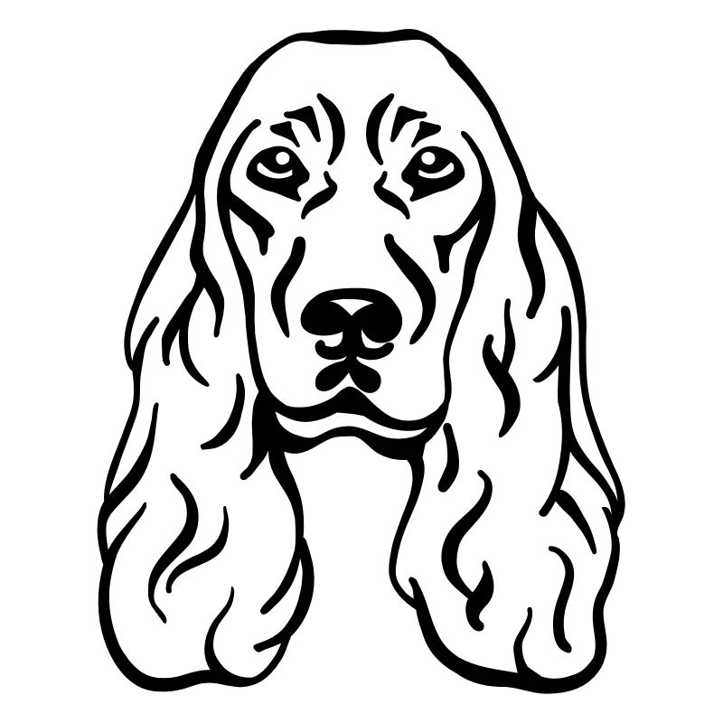 Cocker Spaniel